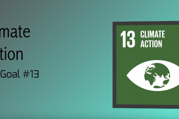 sdg13393CBE14-15DC-1867-A2D9-3393A22BE02D.png