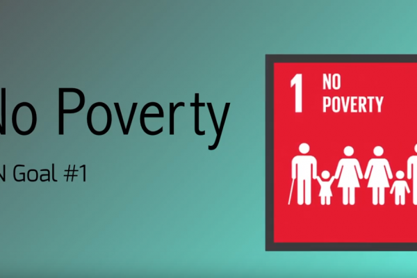 sdgs-goal-number-12BD4195C-4D93-E72F-A829-99F0292AECE7.png